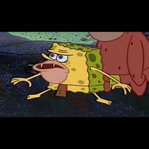 Meet your Posher, Mae